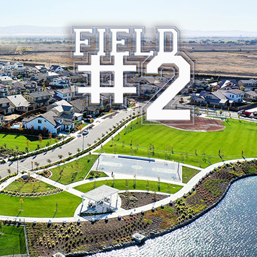 FIELD #2